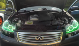 2006-2008 Infiniti M35 / M45 LED Halo Kit for Headlights by Oracle