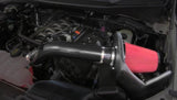 2015-2018 Ford F-150 5.0 V8 Corsa Apex Air Intake