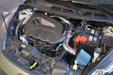2014-2015 Ford Fiesta 1.6 Turbo Injen Short Ram Intake